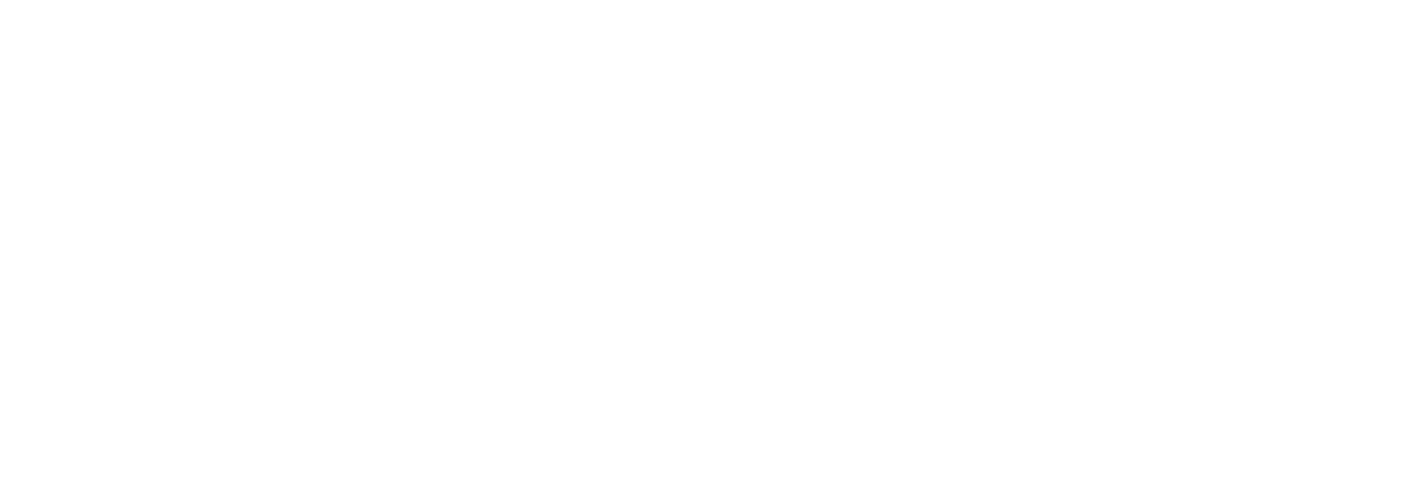 Logo SENelec BLANCO