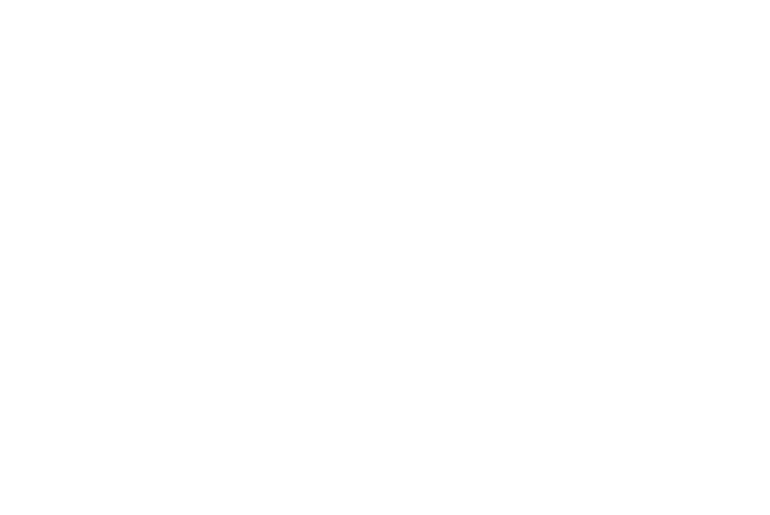 logo secret paradaise